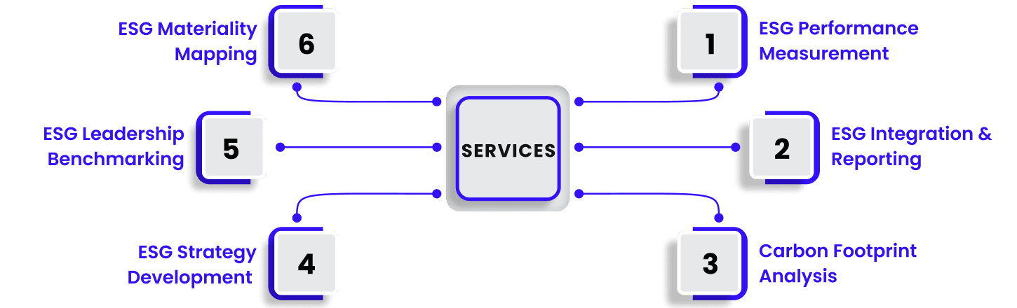 Services we offer